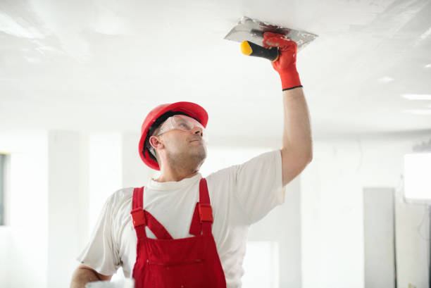 Best Drywall Sanding and Smoothing  in Waynesburg, OH